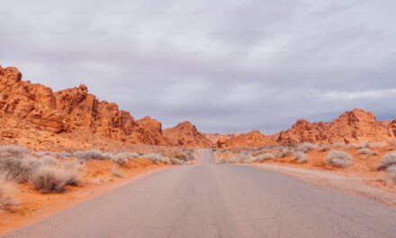 A VOZ QUE CLAMA NO DESERTO